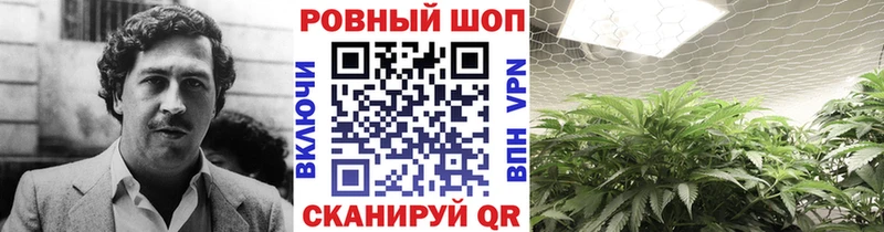 Что такое Исилькуль Метадон Псилоцибиновые грибы ГАШИШ А ПВП