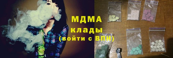мет Алексин