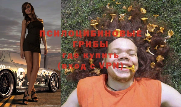 мет Алексин