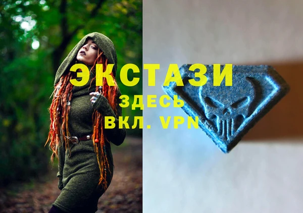 мет Алексин