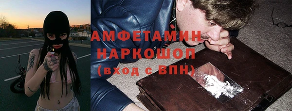 мет Алексин
