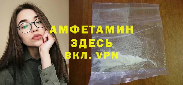мет Алексин