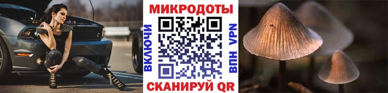 сайты даркнета телеграм  Исилькуль  Галлюциногенные грибы прущие грибы 